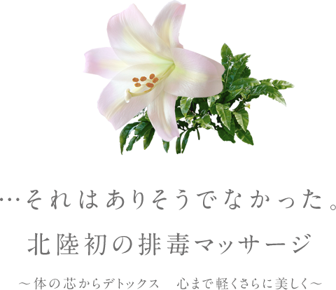 …それはありそうでなかった。北陸初の排毒マッサージ 〜体の芯からデトックス 心まで軽くさらに美しく〜